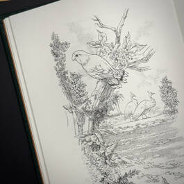 3998091 the poems of w.b. yeats w.b. yeats illustration10