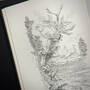 3998091 the poems of w.b. yeats w.b. yeats illustration10