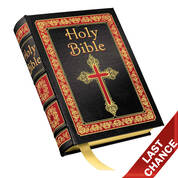2599 Holy Bible cvrLQ