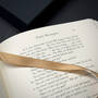 Ernest Hemingway’s The Sun Also Rises, 3809 the sun also rises heminway satin ribbon2