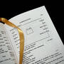 3002 Notebooks DaVinci MacCurdy satin ribbon 1