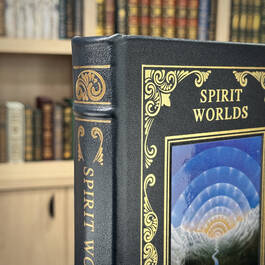 6565 spirit worlds taschen hubbed spine