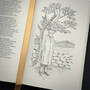 3998091 the poems of w.b. yeats w.b. yeats illustration7