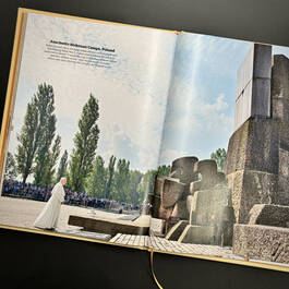 6521 pope francis the people's pope time illustration3