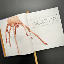 3924 micro life smithsonian illustration1