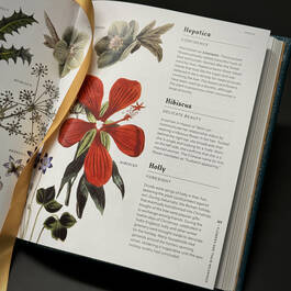 3976 flowers their meanings azoulay satin ribbon6