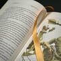3998014 frankenstein mary shelley page detail