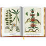 Cabinet of Natural Curiosities 3844 d sp02