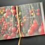 6526 vegetable gardener's handbook the old farmer's almanac illustration8