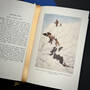3409 the north pole robert peary illustration6