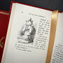 6522 alice in wonderland & through the looking glass lewis carroll illustration6