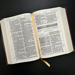 3962 the king james bible satin ribbon3