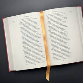 3998064 the divine comedy&nbsp; dante satin ribbon3