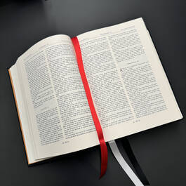 0251 rembrandt family bible rembrandt satin ribbon4