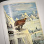 3897 pictures by j.r.r. tolkien j.r.r. tolkien illustration12