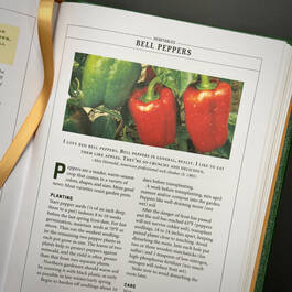 6526 vegetable gardener's handbook the old farmer's almanac illustration6