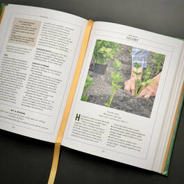 6526 vegetable gardener's handbook the old farmer's almanac illustration7