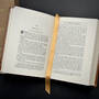 3514 a diary from dixie mary boykin chestnut satin ribbon3