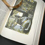 3998045 dracula bram stoker satin ribbon4