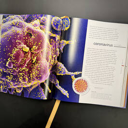 3924 micro life smithsonian illustration18