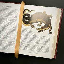 3844 cabinet of natural curiosities seba satin ribbon6