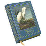 The Birds Of America 3975 a cvr