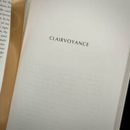 3370 practical magic alice hoffman satin ribbon3