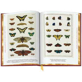 Cabinet of Natural Curiosities 3844 h sp06