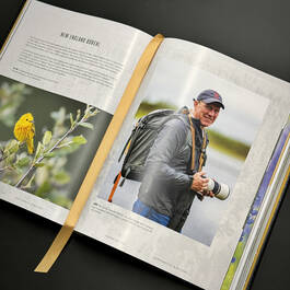 6525 flyaway of life tomas koeck illustration9