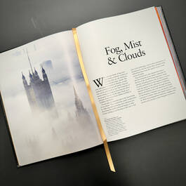 3882 weather robert ford satin ribbon3