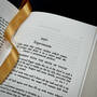 The Notebooks of Leonardo da Vinci, 3002 Notebooks DaVinci MacCurdy satin ribbon 2