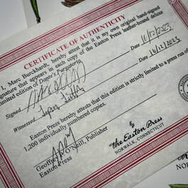 3705 dantes purgatorio certificate