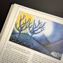 6532 a dictionary of tolkien david day illustration6