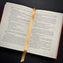 3815017 fahrenheit 451 ray bradbury&nbsp; satin ribbon3