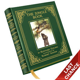 The Jungle Book 3949 b LQ