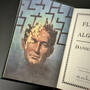 Flowers for Algernon, 3815016 flowers for algernon keyes illustration