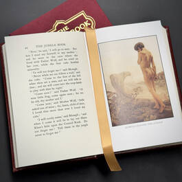 3391 the jungle book rudyard kipling illustration10