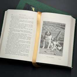 3646 from the earth to the moon jules verne3 illustration9
