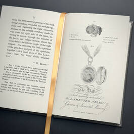 2678124 authentic narrative of the death of lord nelson beatty illustration2