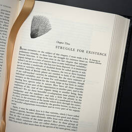 3998068 on the origin of species&nbsp; charles darwin illustration10