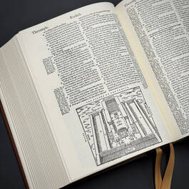 6578 1560 geneva bible illustration3