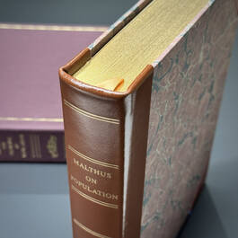 6542 essay on the principle of population robert malthus gilded pages