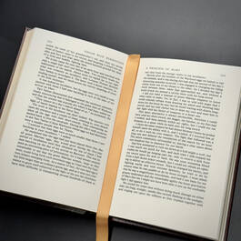 3815007 at the earths core burroughs satin ribbon2