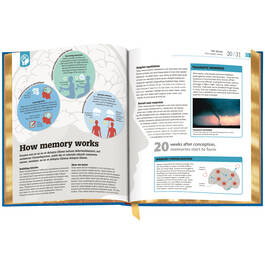 3727 How Psychology Works spr04