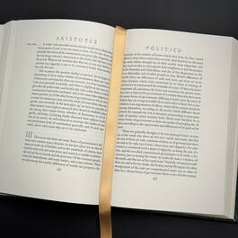 3998028 politics and poetics aristotle&nbsp; satin ribbon6