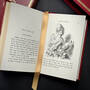6522 alice in wonderland & through the looking glass lewis carroll illustration13