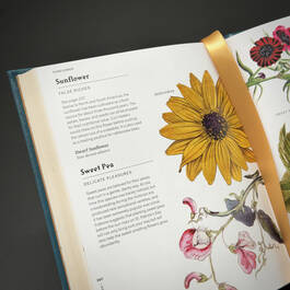 3976 flowers their meanings azoulay illustration1