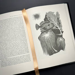 3998068 on the origin of species&nbsp; charles darwin illustration7