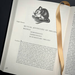 3998068 on the origin of species&nbsp; charles darwin illustration4