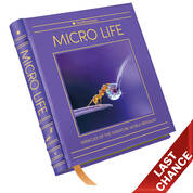 Micro Life 3924 b LQ